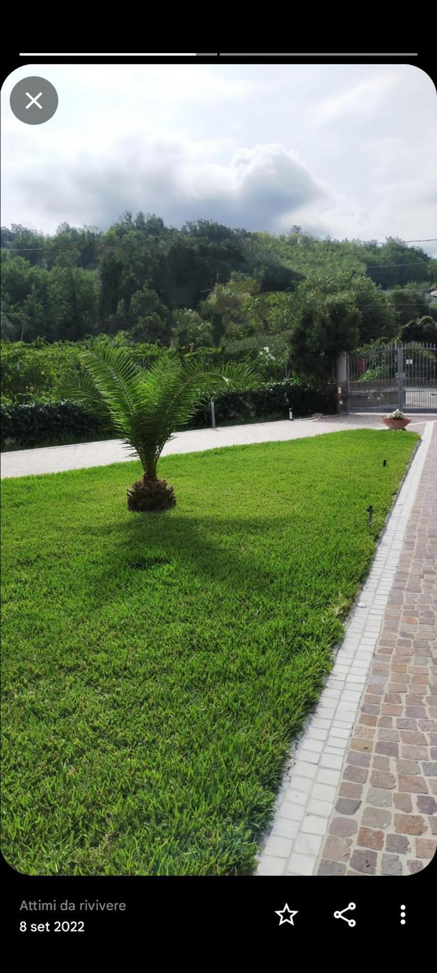 Al Boschetto Bed & Breakfast Melizzano Exterior photo