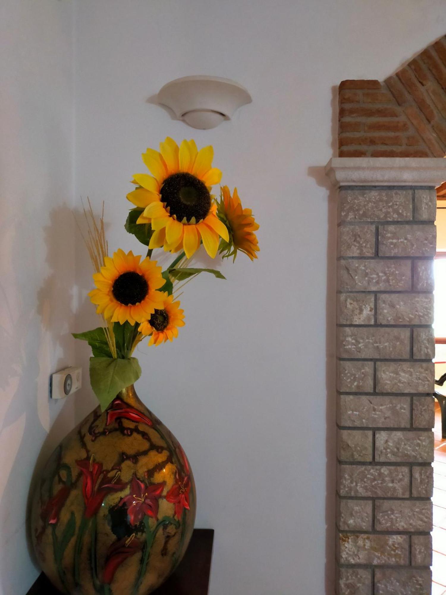 Al Boschetto Bed & Breakfast Melizzano Exterior photo
