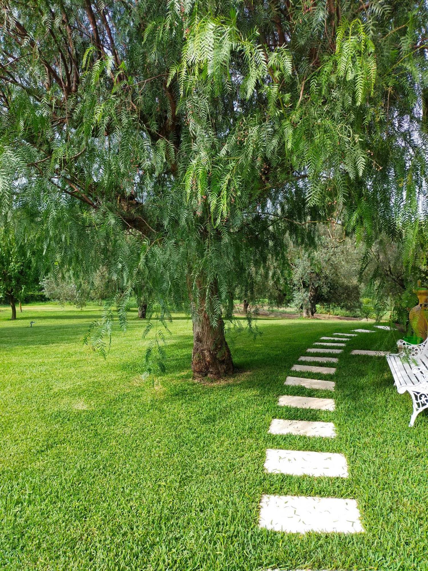 Al Boschetto Bed & Breakfast Melizzano Exterior photo