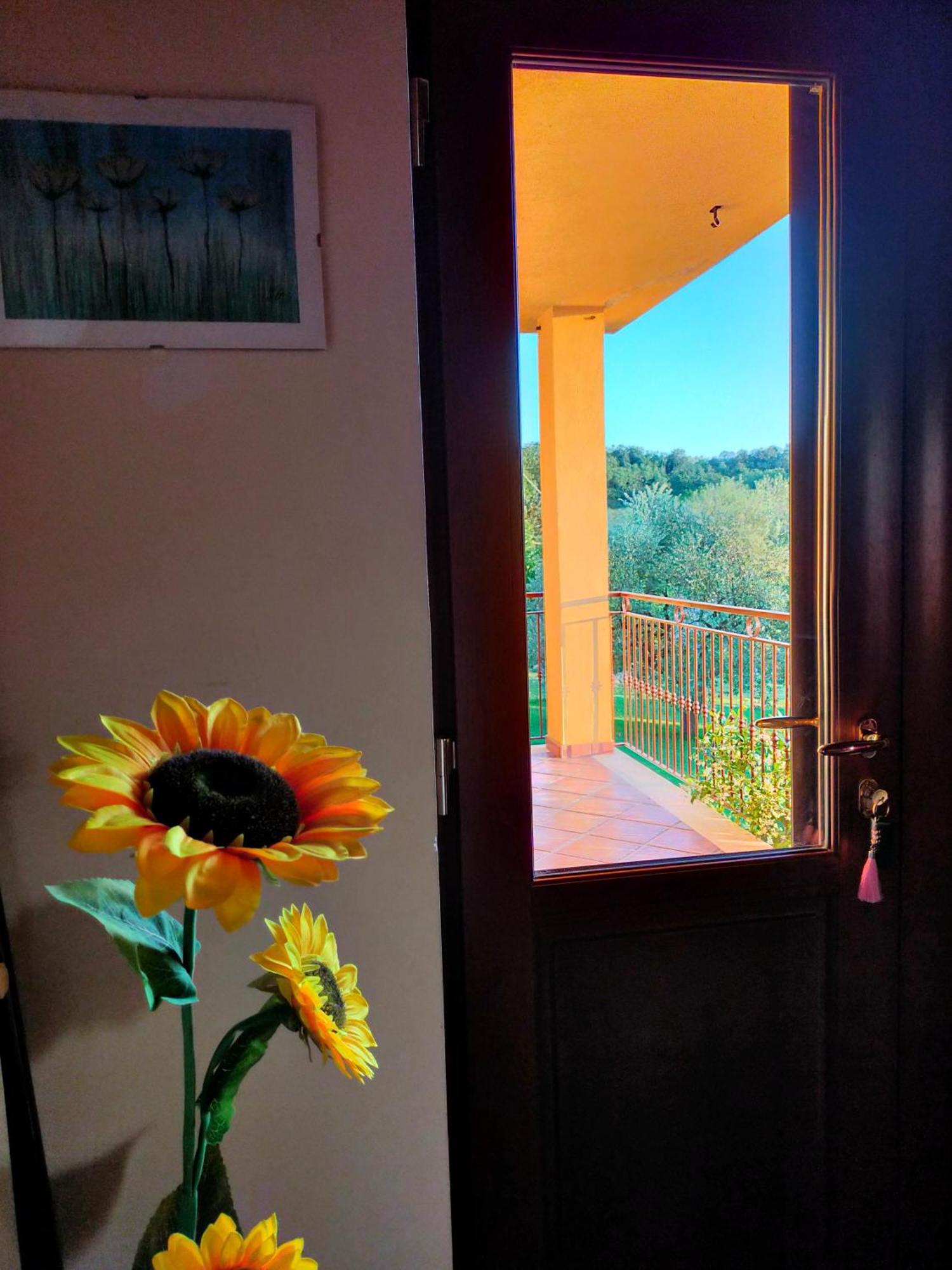 Al Boschetto Bed & Breakfast Melizzano Exterior photo